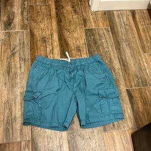 Tommy Bahama Relax 2XL Teal/Turquoise shorts